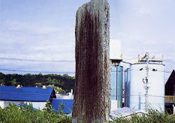 安倍川修堤碑の写真