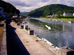 青野川河口付近の写真