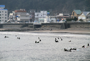 留田の浜の写真