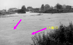 大場川・三島市中島・御殿川合流点付近の写真