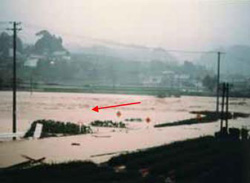 昭和57年出水の状況（牧之原市切山）の写真