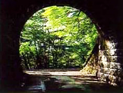 天城山隧道（旧天城山トンネル）の写真