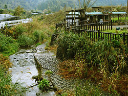 中尾羽根川親水公園の写真