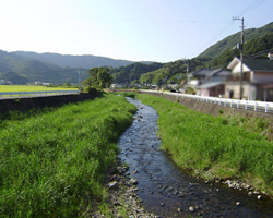 支川・岩科川の写真