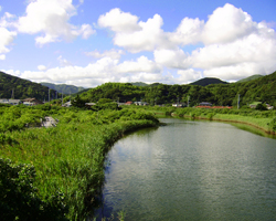大賀茂川の風景の写真
