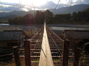 塩郷の吊り橋の写真