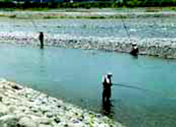 大井川で釣りの写真