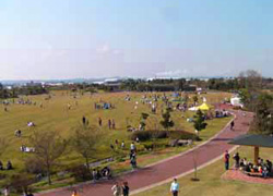 静岡県営吉田公園の写真