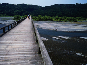 大井川・蓬来橋付近（おおいがわ・ほうらいばしふきん）の写真