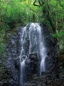 松葉の滝（まつばのたき）の写真