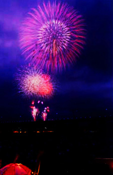ふくろい遠州の花火（原野谷川親水公園）の写真