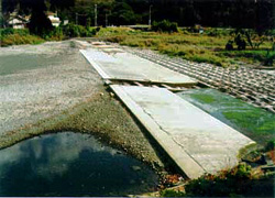 市場橋地点の渇水状況の写真