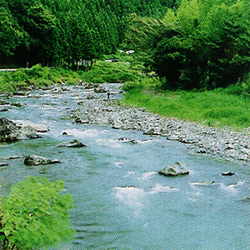 太田川上流の写真
