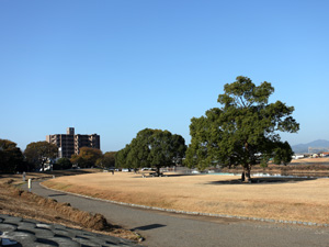瀬戸川緑地の写真