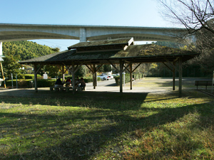 桂島公園の写真