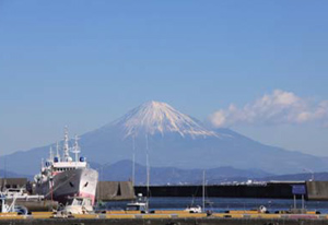 焼津漁港から望む富士山の写真