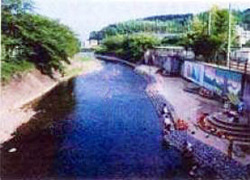 葉梨川の写真