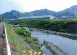 瀬戸川水系中流部の写真
