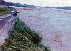 朝比奈川被害状況（昭和49年7月）の写真