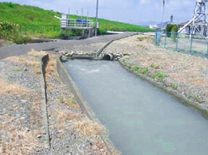大井川用水の導入の写真