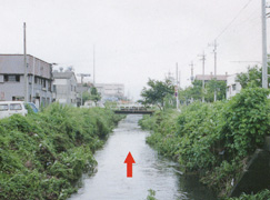 平成元年当時の新中川の写真