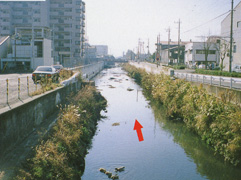 平成11年の新中川の写真