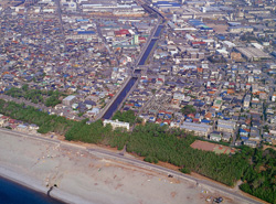 新中川の航空写真