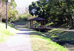 栃山川自然生態観察公園の写真