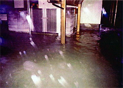 成案寺川流域の浸水状況の写真