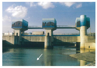 大谷川水門