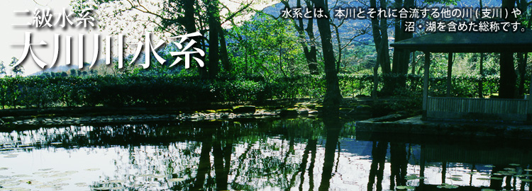 大川川水系のホームページです