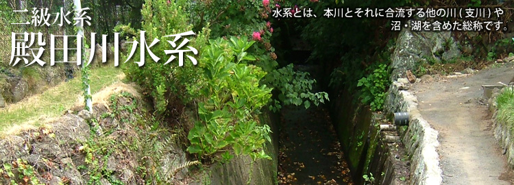 殿田川水系のホームページです