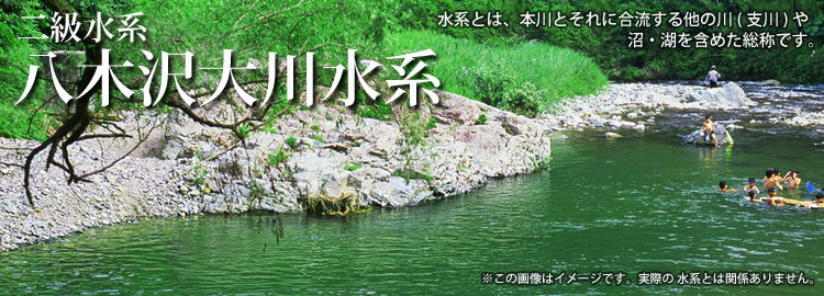 八木沢大川水系のホームページです