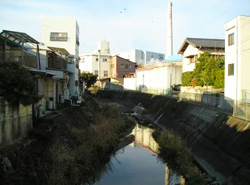 和瀬川下流部の写真
