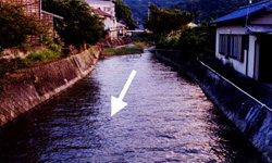 八木沢大川下流部の写真