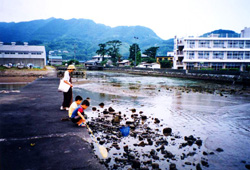八木沢大川で遊ぶ子供たちの写真